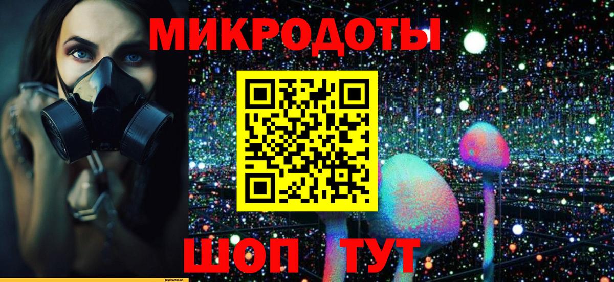 Галлюциногенные грибы мицелий Ярославль