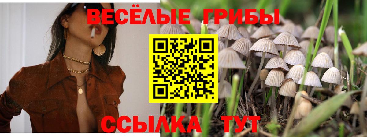 Псилоцибиновые грибы мицелий  Галлюциногенные грибы мухоморы  Ярославль  Вход с VPN 